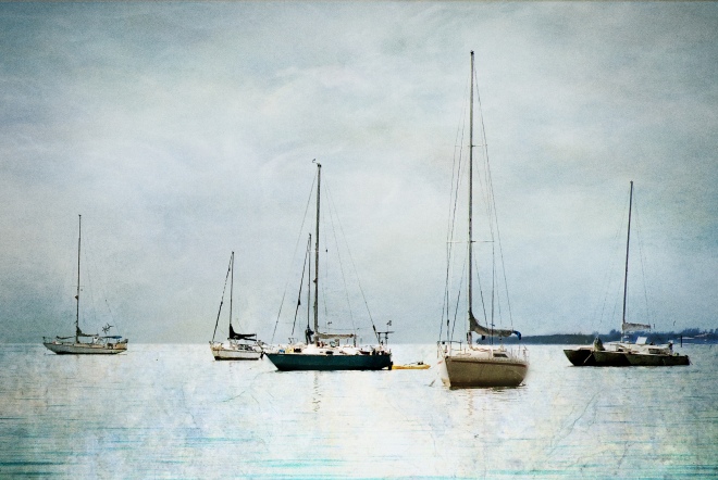 sailboats 